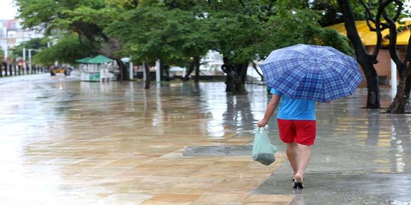 Chuva forte com raios e trovões causa alagamentos, quedas de árvores e engarrafamentos em Fortaleza