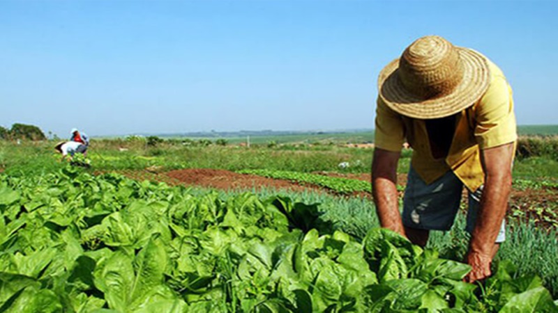 Incra lança plataforma on-line para agilizar reforma agrária no País