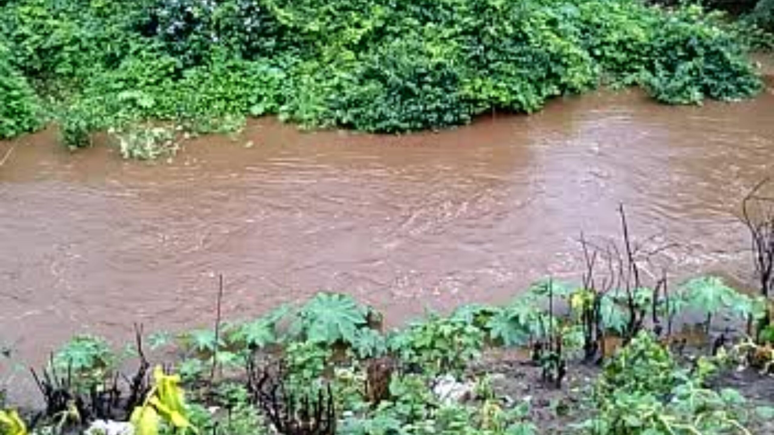 Rio Queimadas desce com pequeno volume de água