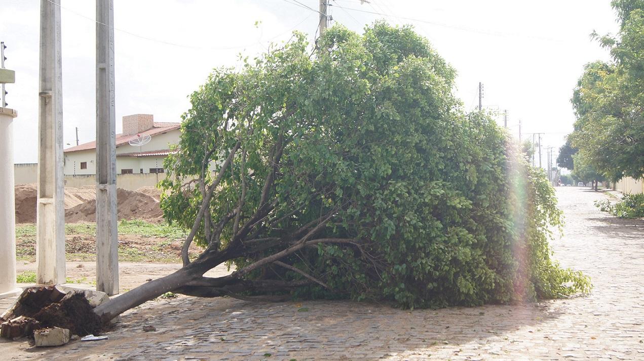 Ceará tem alerta para vendaval e tempo seco em mais de 100 cidades; veja lista