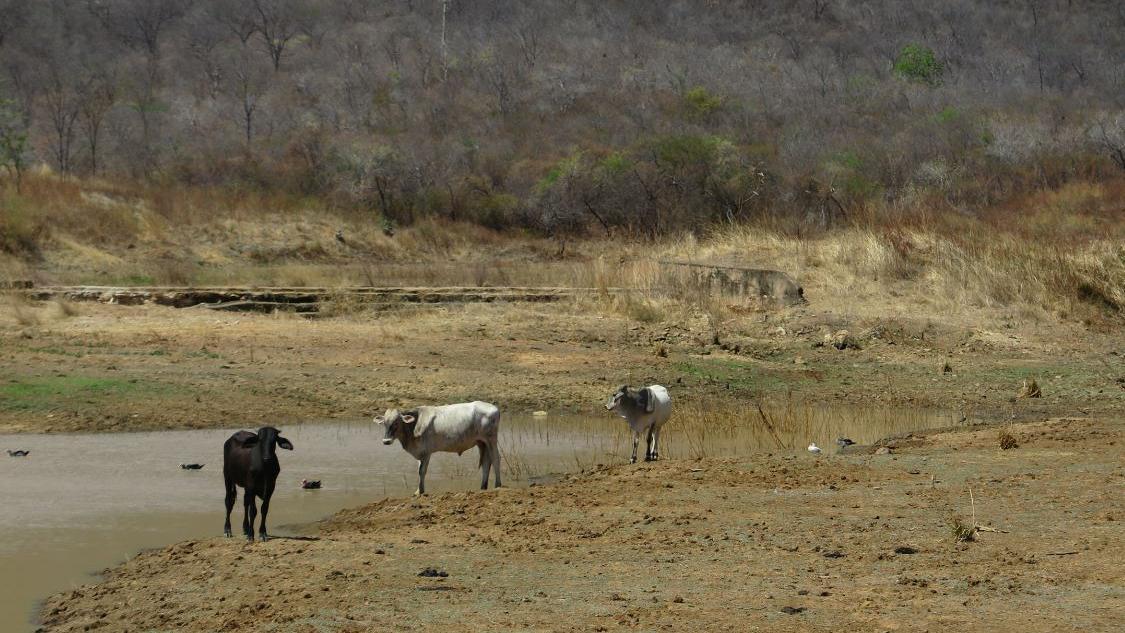 Seca volta a 100% das regiões do Ceará após 27 meses, revela Monitor