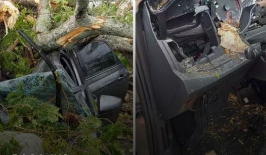 Árvore cai e atinge um veículo com passageiros