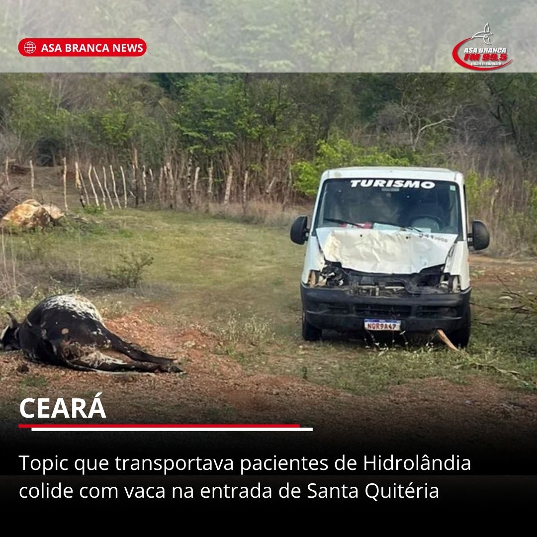 Topic que transportava pacientes de Hidrolândia colide com uma vaca