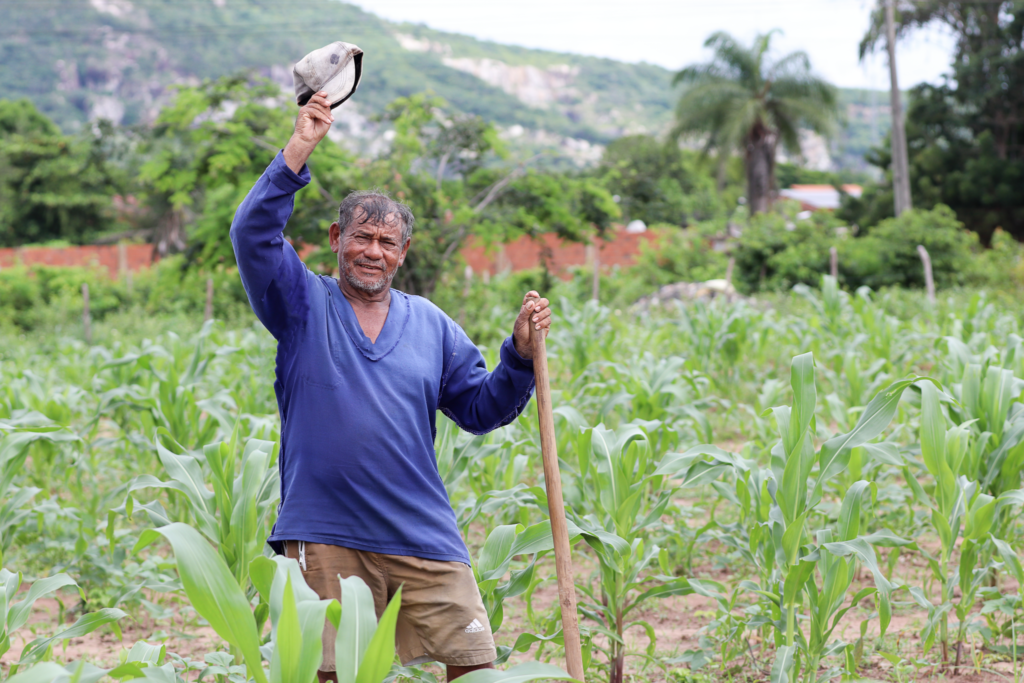 Agricultores de Banabuiú e Ibicuitinga terão que devolver sementes do Hora de Plantar