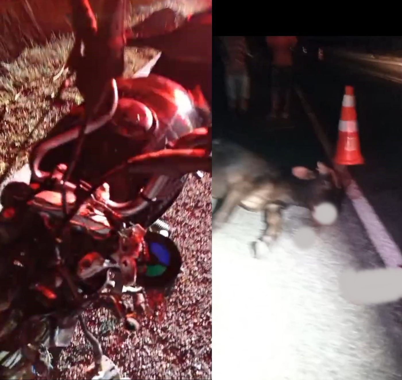 Motociclista colide com um touro e o animal morre na BR-226