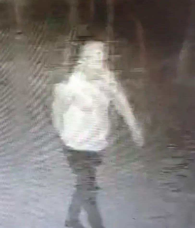 Suspeito de roubo em Independência foge durante ação policial em Novo Oriente