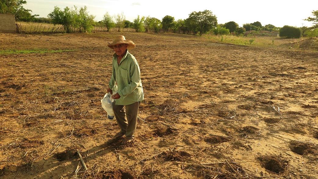 Novo aplicativo cruzará solo e clima para indicar melhor época de plantar no CE