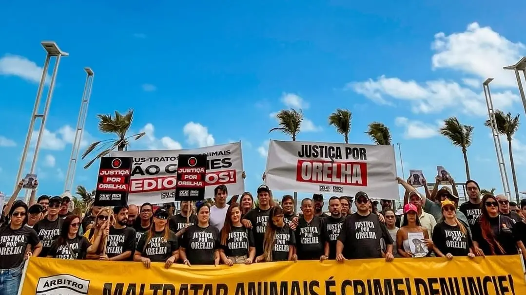 VIOLÊNCIA – Justiça por Orelha: manifestantes protestam na Beira Mar de Fortaleza contra violência animal