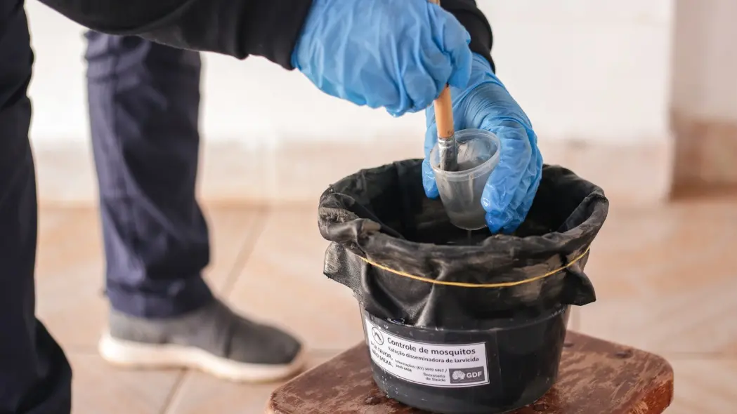 SAÚDE – Fortaleza usa nova tecnologia que ‘envenena’ mosquito da dengue; saiba como funciona