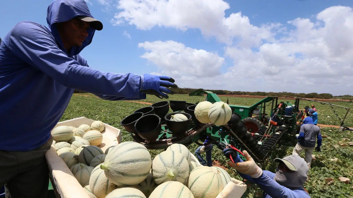 AGROPECUÁRIA – União Europeia deve dobrar compras do agronegócio cearense com acordo do Mercosul
