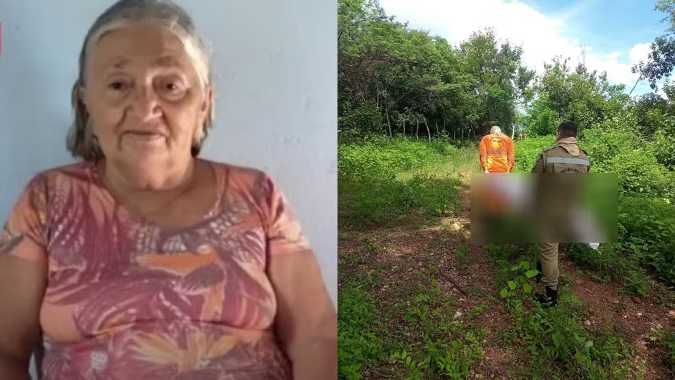 REGIONAL – Idosa de 75 anos morre após ser atacada por enxame de abelhas no interior do Ceará