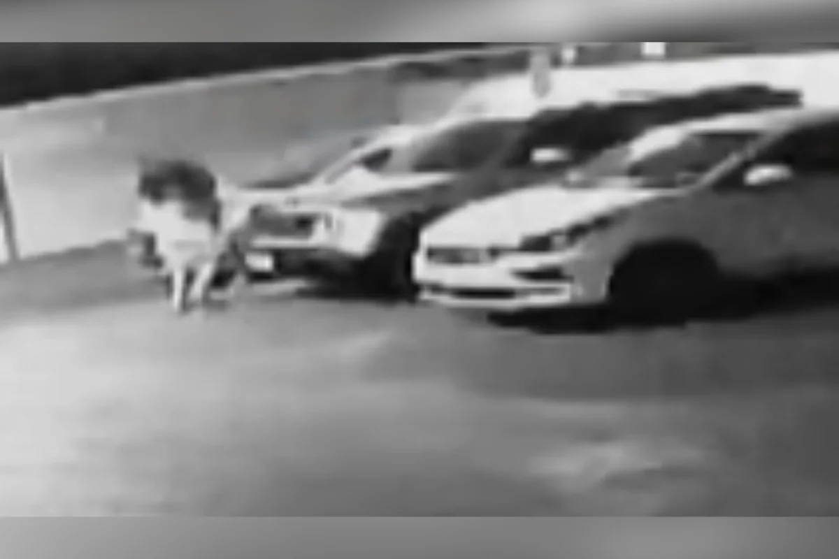 POLÍCIA – Vídeo mostra sargento carregando corpo de capitã da PM até carro antes de ir a hospital em BH