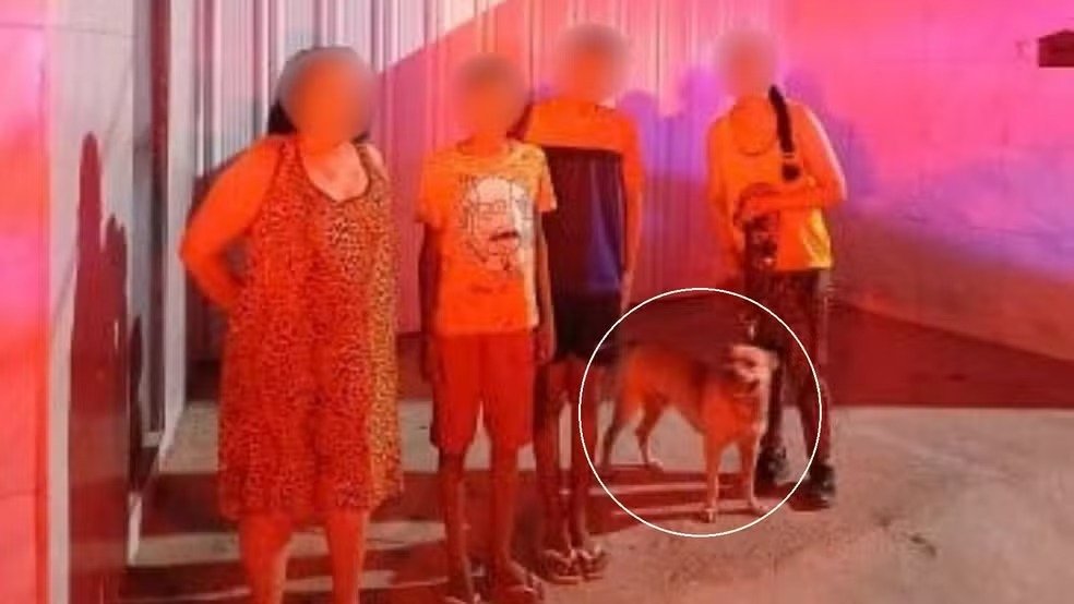 REGIONAL – Latidos de cão de estimação ajudam bombeiros a localizar irmãos perdidos em mata no Ceará